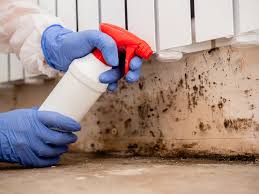 Best Crawl Space Mold Remediation  in Baltimore, MD